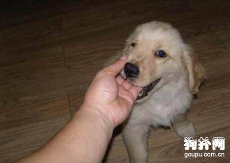 ����ҧ������Ҫ��ô�죿