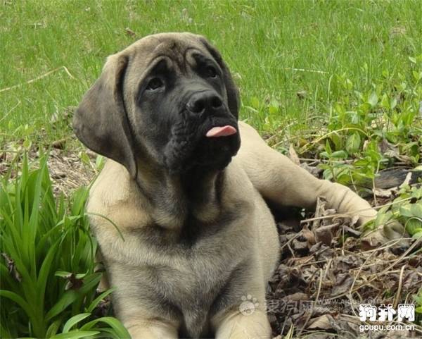 ����������Ȯ��׼����������Ȯ�۸���������