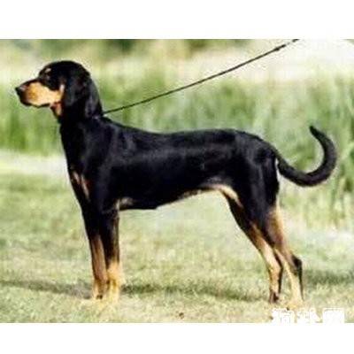 ��������������Ȯ��׼���۸���������