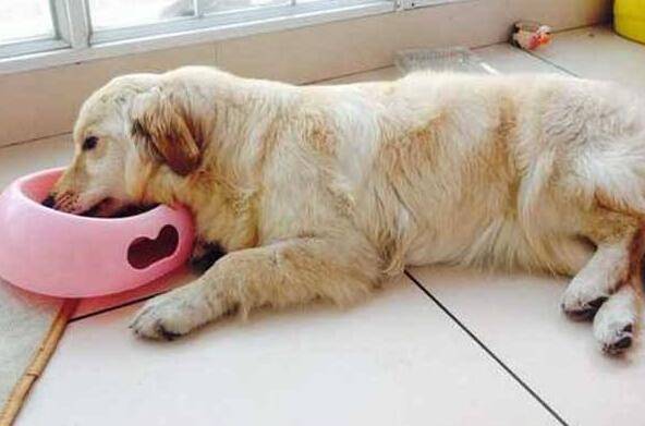 Ȯ���Ⱥ���֢����Щ����Щ����֢��֪����