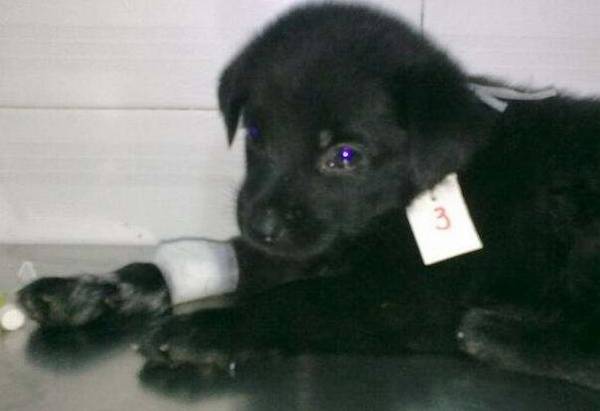 Ȯ���ȵ�Ǳ����һ���ж��