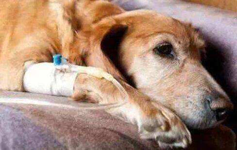 Ȯ���ȵ�Ǳ����һ���ж��