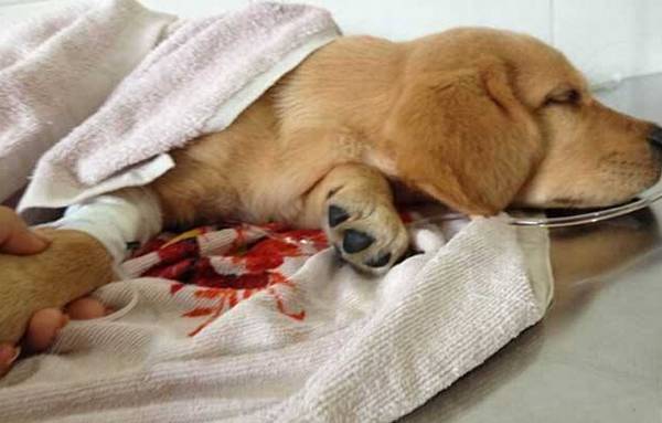 Ȯ���ȵ�֢״�����Ʒ���