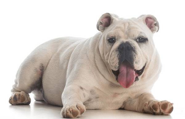 ֻܴȹɢȣпǲΣǰף