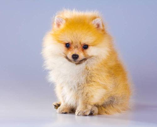 �����к��ڳ鶯�����ܻ���