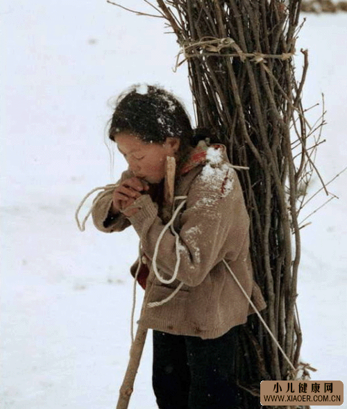 С������_��վ��ע:������,������Ҫ�·�