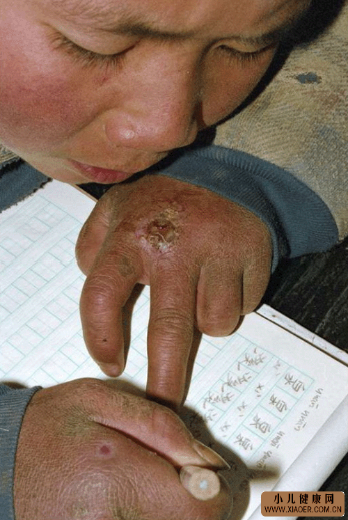 С������_��վ��ע:������,������Ҫ�·�