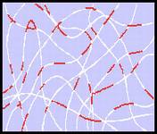 [֪ʶ]Sympatexķˮ͸ԭ [ͼ]