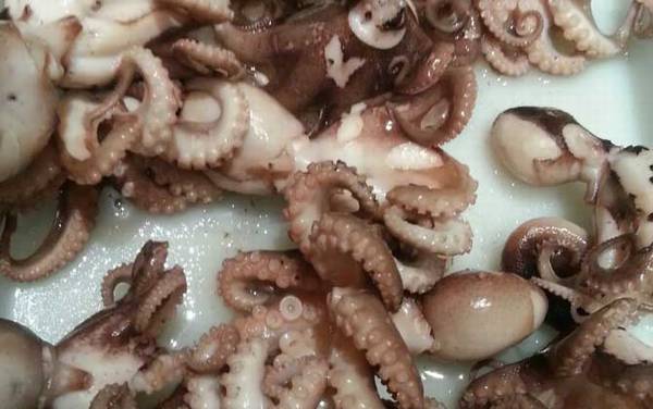 望潮是什么动物?