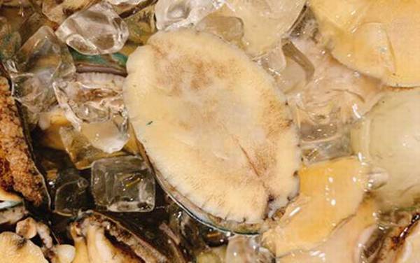 鲍鱼怎么杀和清洗?