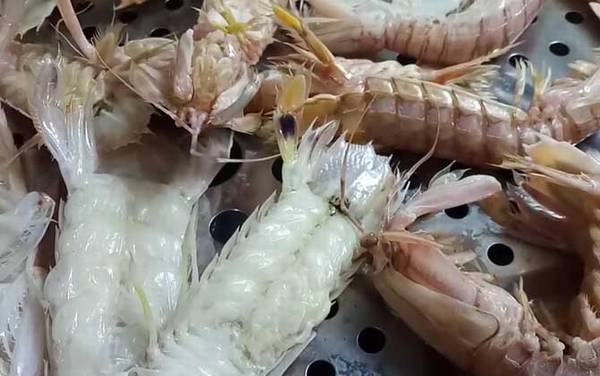 孕妇能吃皮皮虾吗?