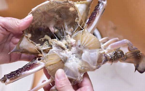 螃蟹怎么清洗干净?