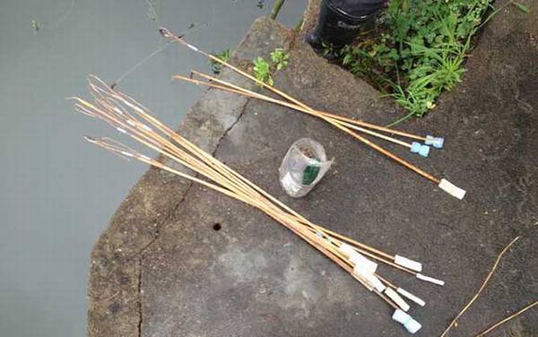 钓黄鳝用什么饵料?