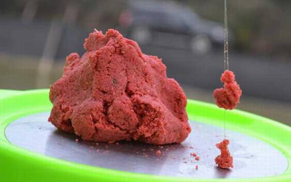 春季钓鱼用腥还是香?