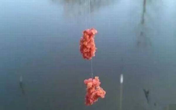 四月钓鱼用什么味道的饵料?