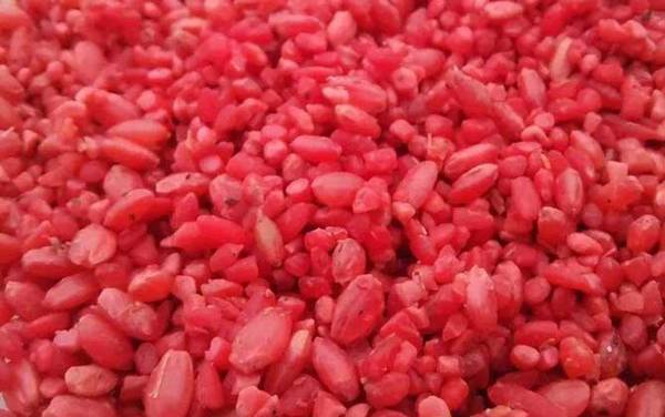 酒米能和饵料混在一起吗?