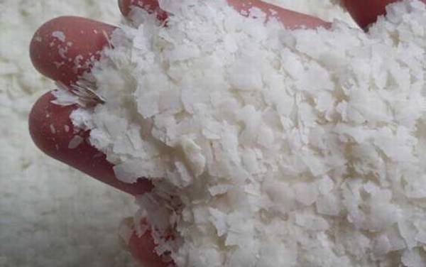 雪花粉适合做什么吃的?