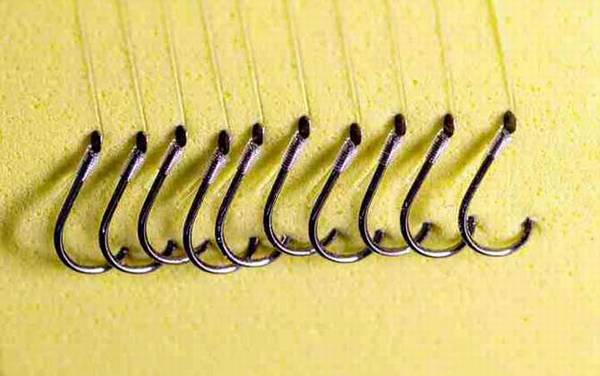 3.0子线能钓多大的鱼?