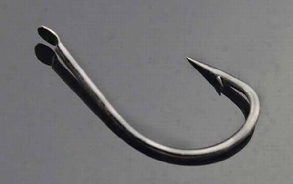 伊豆1号钩钓多大鱼?