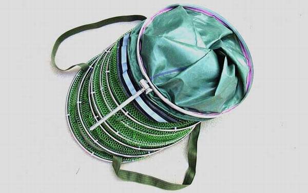 鱼护是什么意思?