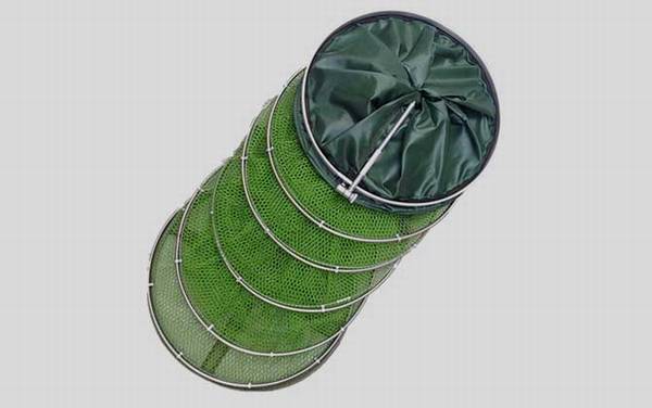 鱼护买多大多长的最合适?