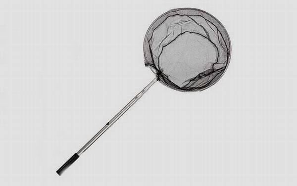 抄网杆是什么意思?