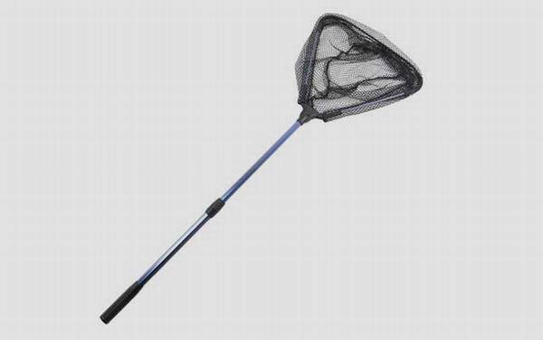 野钓要带抄网吗?