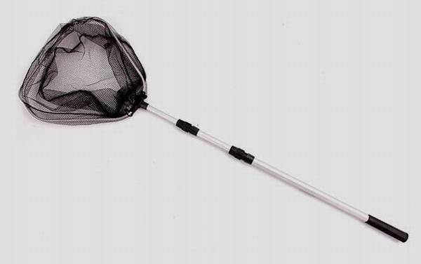 野钓要带抄网吗?