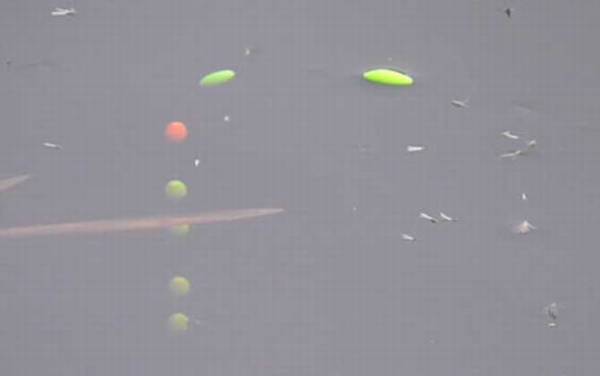 朝天钩线组怎么搭配?