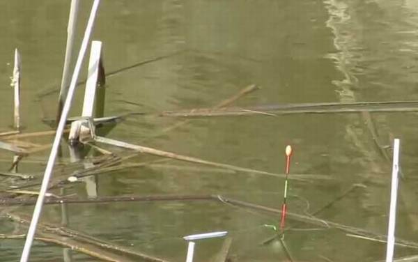 春季钓鱼用多长的竿?