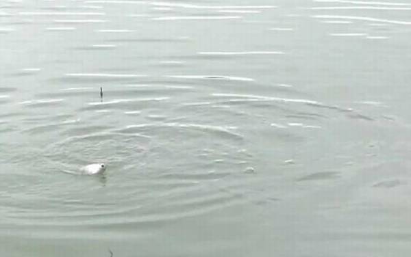 初夏钓鱼线组怎么搭配?