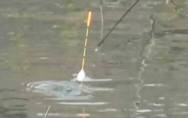 冬季钓鱼用多长的竿最好?