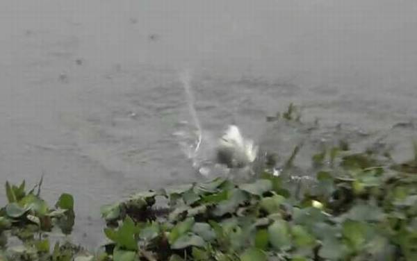 冬季钓鱼用什么鱼钩?