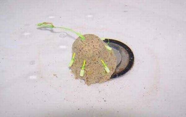 爆炸钩是什么意思?