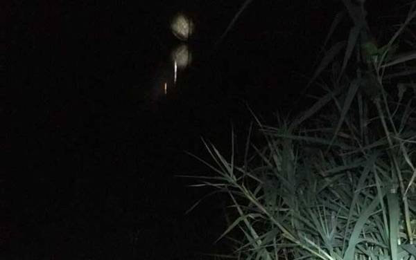 夜钓装备有哪些?