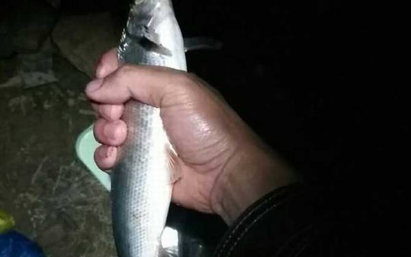 夜钓装备有哪些?