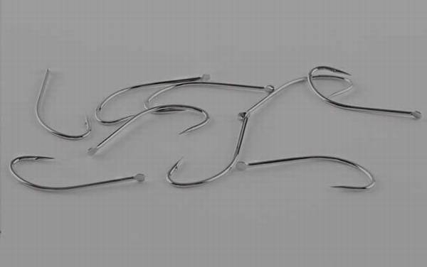 5号白狐钩适合钓多重的鱼?