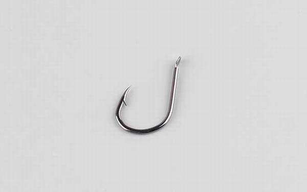 伊豆和伊势尼有什么区别?