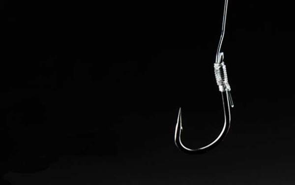 伊势尼12号钩能钓多大的鱼?