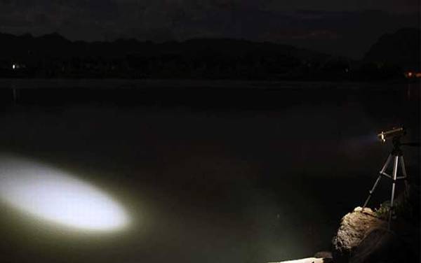 夜钓灯什么光最聚鱼?