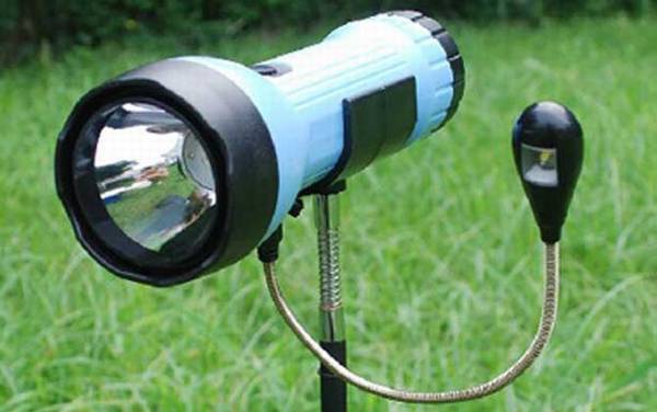 夜钓灯什么光最聚鱼?