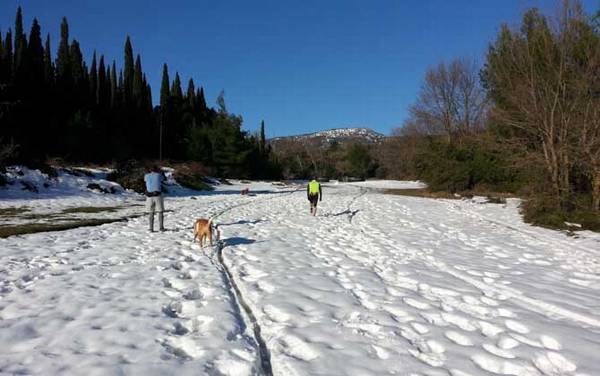 冰钓用什么线组?