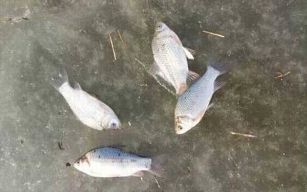 冰钓要哪些装备?