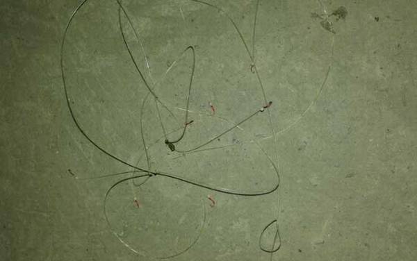 钓白条鱼用什么钩好?