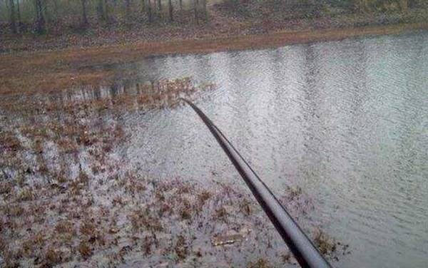 传统钓买9米竿还是10米竿?