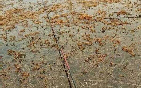 传统钓配多长的线?