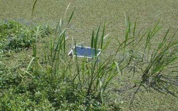 传统钓配多长的线?