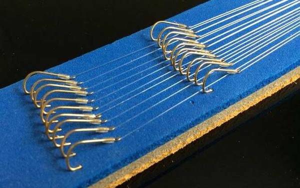 1.5子线能钓多大的鱼?