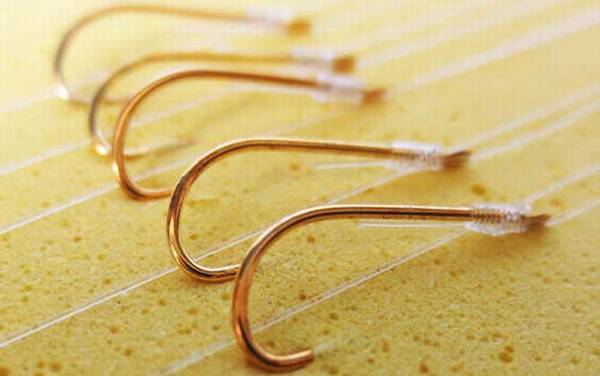 1.5子线能钓多大的鱼?