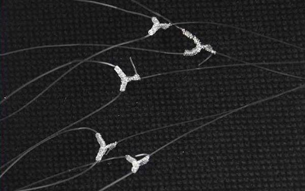 1.5子线能钓多大的鱼?